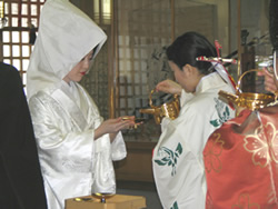 �������C���[�W